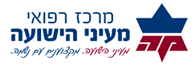 מעייני הישועה